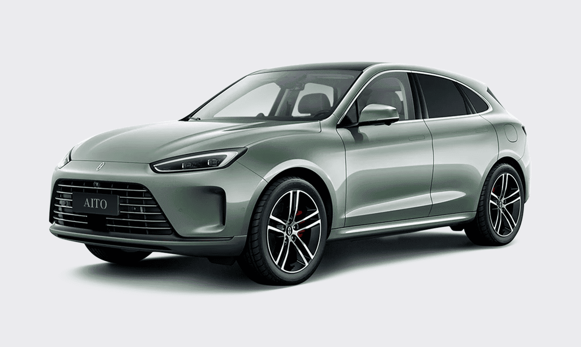 Зеленая морозная сосна