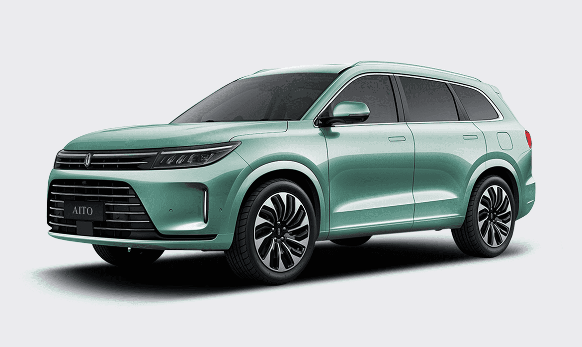 Зеленая морозная сосна